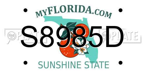 S8985D Florida License Plate