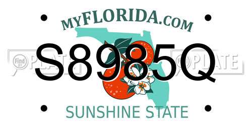 S8985Q Florida License Plate