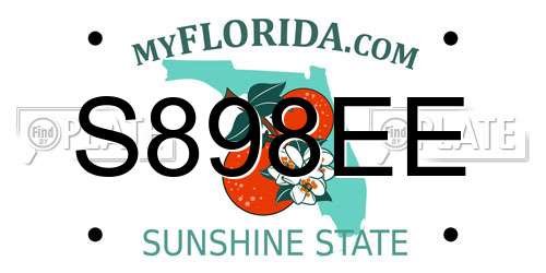 S898EE Florida License Plate