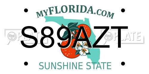S89AZT Florida License Plate