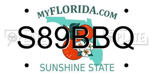 S89BBQ Florida License Plate
