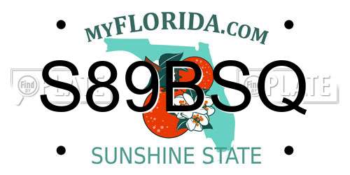 S89BSQ Florida License Plate