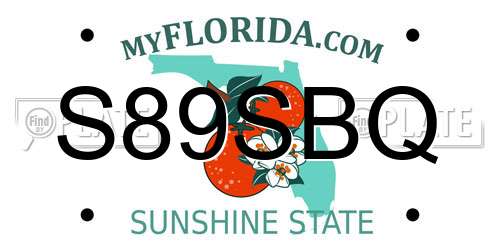 S89SBQ Florida License Plate