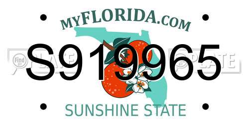 S919965 Florida License Plate