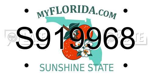S919968 Florida License Plate