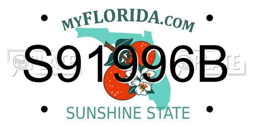 S91996B Florida License Plate