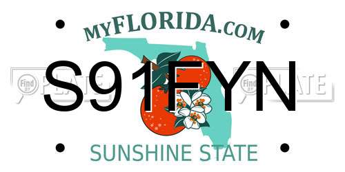 S91FYN Florida License Plate