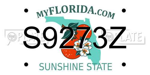 S9273Z Florida License Plate