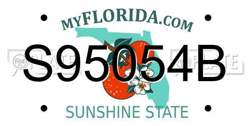 S95054B Florida License Plate