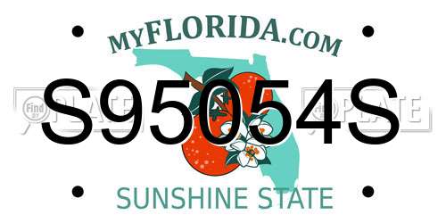 S95054S Florida License Plate