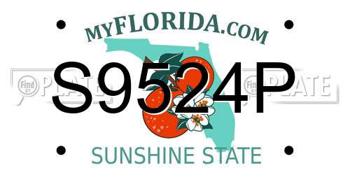 S9524P Florida License Plate