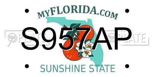 S957AP Florida License Plate