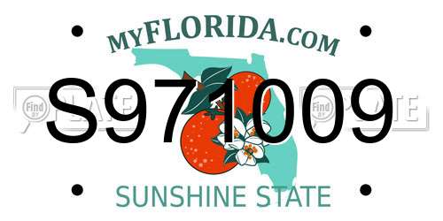 S971009 Florida License Plate
