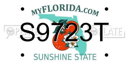 S9723T Florida License Plate