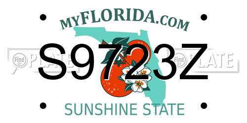 S9723Z Florida License Plate