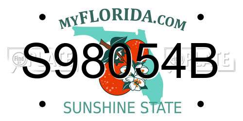S98054B Florida License Plate
