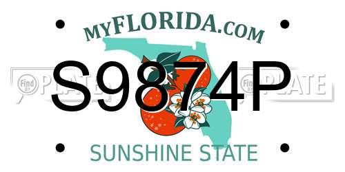 S9874P Florida License Plate