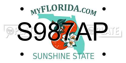 S987AP Florida License Plate