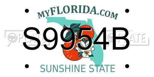 S9954B Florida License Plate