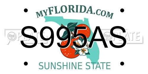 S995AS Florida License Plate