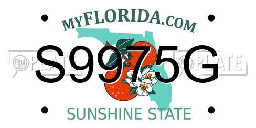 S9975G Florida License Plate
