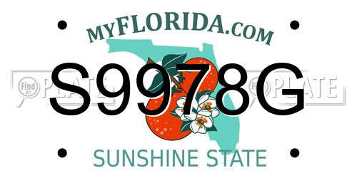 S9978G Florida License Plate