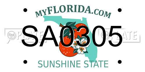 SA0305 Florida License Plate