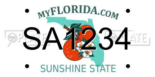 SA1234 Florida License Plate