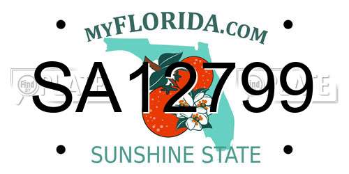 SA12799 Florida License Plate