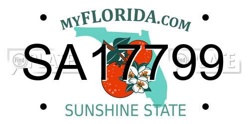 SA17799 Florida License Plate