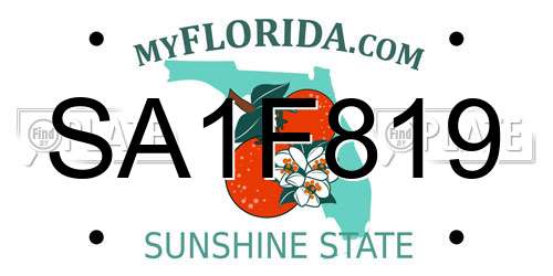 SA1F819 Florida License Plate