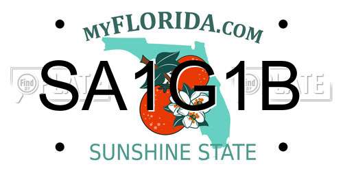 SA1G1B Florida License Plate
