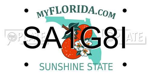 SA1G8I Florida License Plate