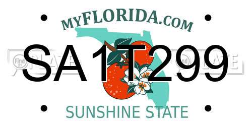 SA1T299 Florida License Plate
