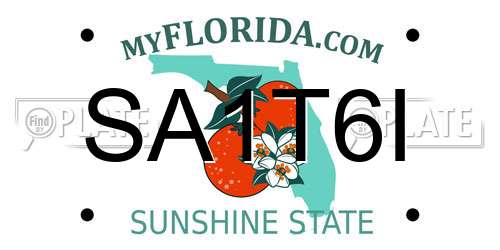 SA1T6I Florida License Plate
