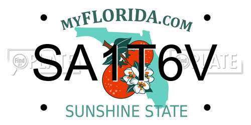 SA1T6V Florida License Plate