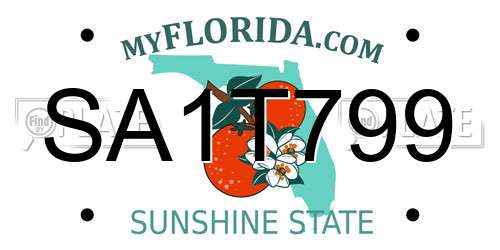 SA1T799 Florida License Plate