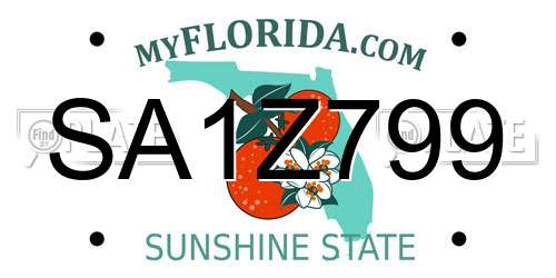 SA1Z799 Florida License Plate