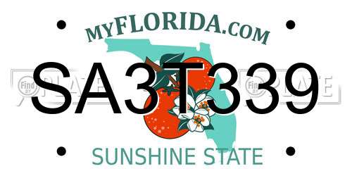 SA3T339 Florida License Plate