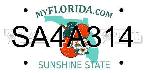 SA4A314 Florida License Plate