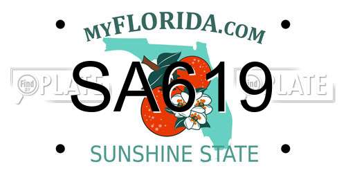 SA619 Florida License Plate