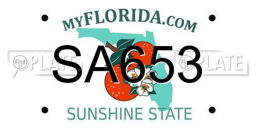SA653 Florida License Plate