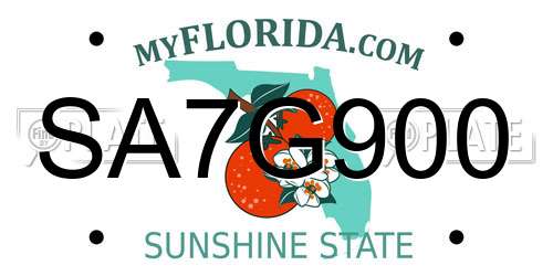 SA7G900 Florida License Plate