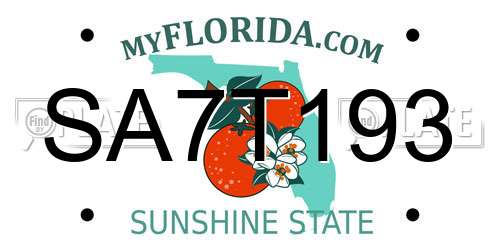 SA7T193 Florida License Plate