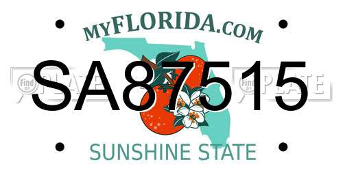 SA87515 Florida License Plate