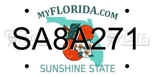 SA8A271 Florida License Plate