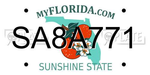 SA8A771 Florida License Plate