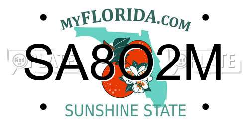 SA8O2M Florida License Plate