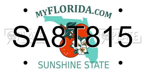 SA8T815 Florida License Plate