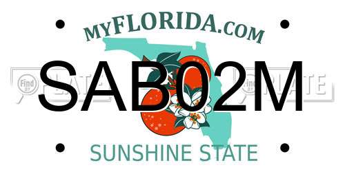 SAB02M Florida License Plate